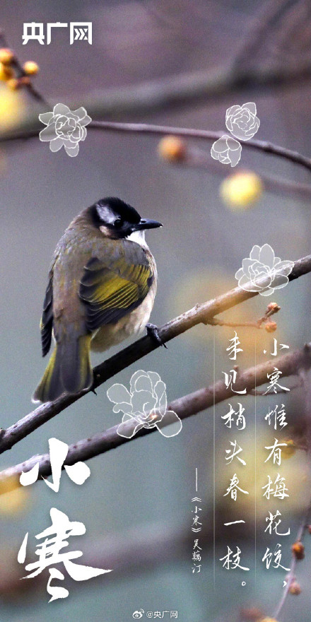 小寒至！不畏严寒关终迎春日暖
