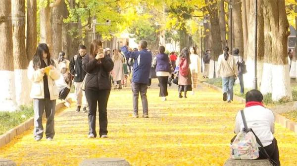 大学校园能否开放参观？昆明多所高校明确了→
