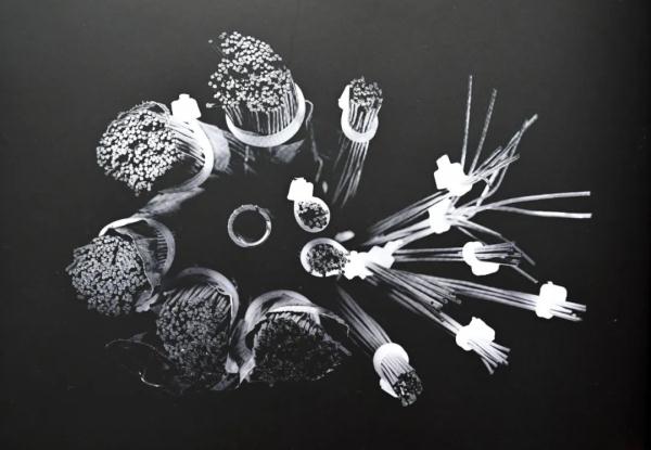 这群年轻人，拍出了科学之美！