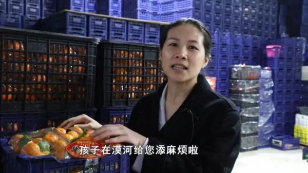 小砂糖橘勇闯东北 最北“火焰蓝”温暖相伴