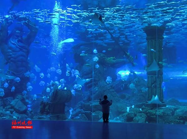 突然爆火!大涨126%!福州也开始了! 突然爆火!大涨126%!福州也开始了!