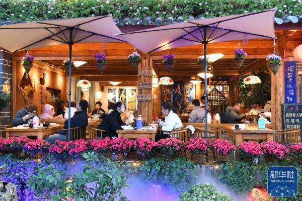 新华全媒丨到七彩云南 过温暖冬天 新华全媒丨到七彩云南 过温暖冬天