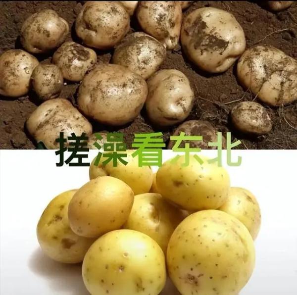 禁言！严肃处置，他们被处理