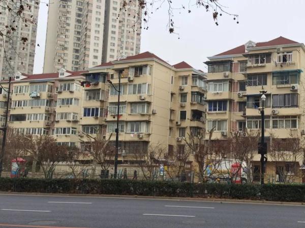 上海不少路段行道树已逾6层楼高，路灯和阳光被遮挡！投诉激增，修剪能否安排上？