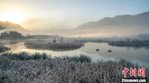 湖北神农架:针对性保护珍稀濒危动植物 湖北神农架:针对性保护珍稀濒危动植物