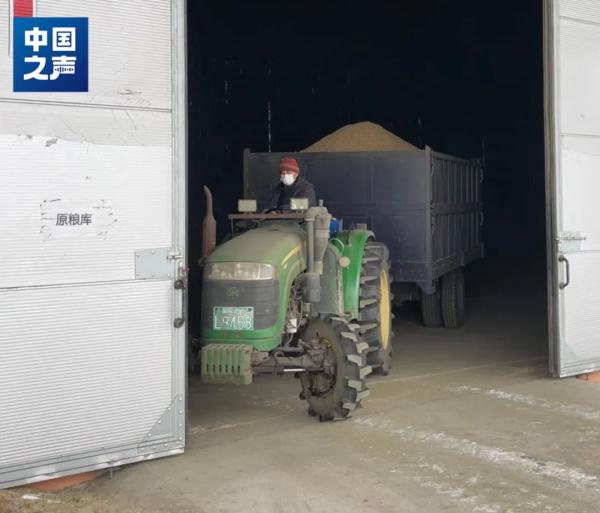 “二亮子”五常大米上市销售！背后是他的故事→