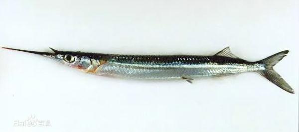 一夜暴富？杭州男子钓到神秘生物，网友炸锅！