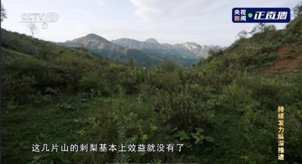 贪官拍板花9个亿建索道，每年却只用一个月……