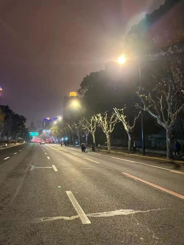 上海不少路段行道树已逾6层楼高，路灯和阳光被遮挡！投诉激增，修剪能否安排上？