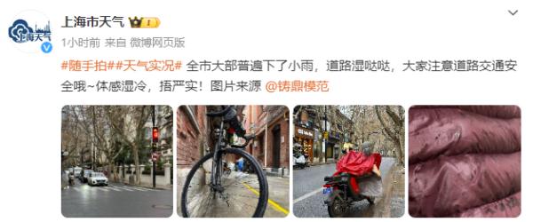 直冲15℃！上海“三九”逆向升温，随后48小时最低温骤降6至8℃，最冷时段公布