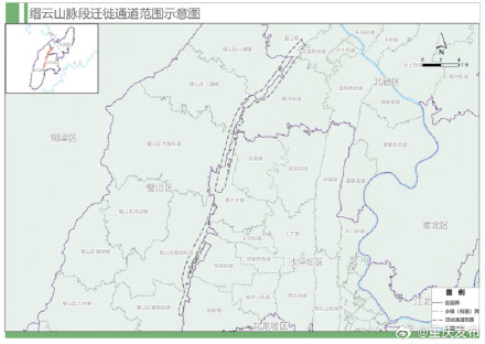 重庆为候鸟划定首批9条迁徙通道