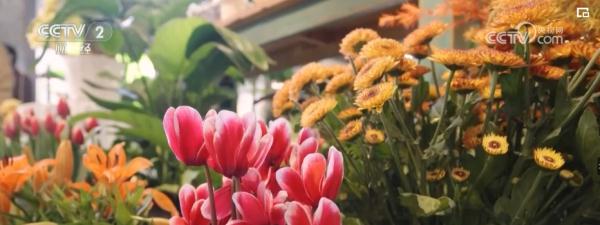 “传统菜场+轻业态”火爆“出圈” 实实在在“烟火味”带动新消费 “传统菜场+轻业态”火爆“出圈” 实实在在“烟火味”带动新消费