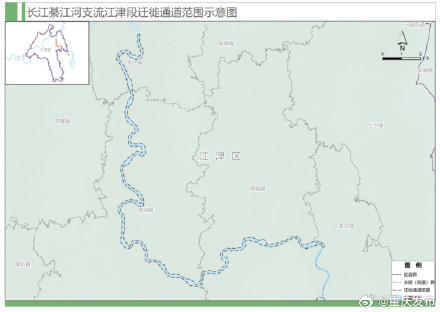 重庆为候鸟划定首批9条迁徙通道