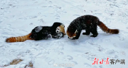 做热冬季旅游市场，兰州推出“全年龄段”冰雪项目和8条冰雪游线路产品