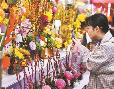 广州各区迎春花市时间地点公布