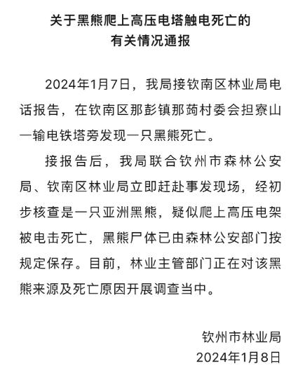 黑熊疑似触电丧命，当地通报