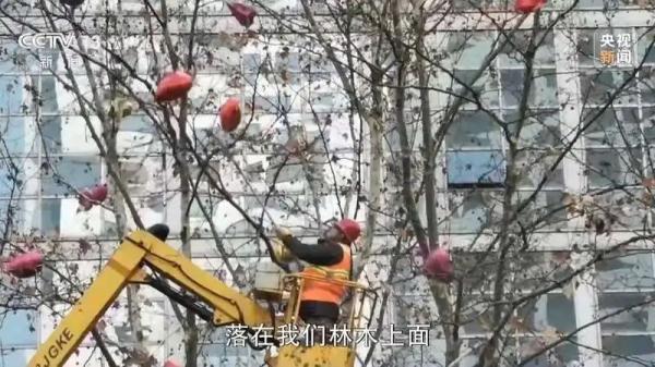 跨年夜放飞的气球，环卫工人需要多久才能清理完？