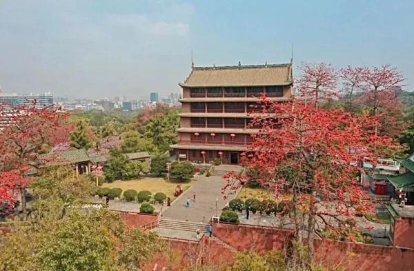 免费开放!广州多个博物馆官宣 免费开放!广州多个博物馆官宣