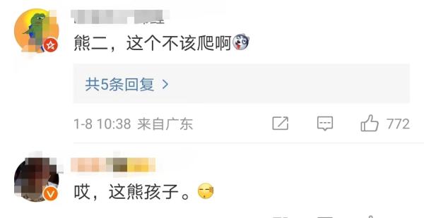 黑熊疑似触电丧命，当地通报