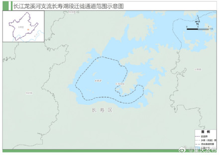 重庆为候鸟划定首批9条迁徙通道