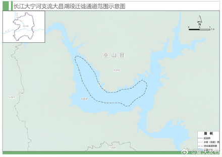重庆为候鸟划定首批9条迁徙通道