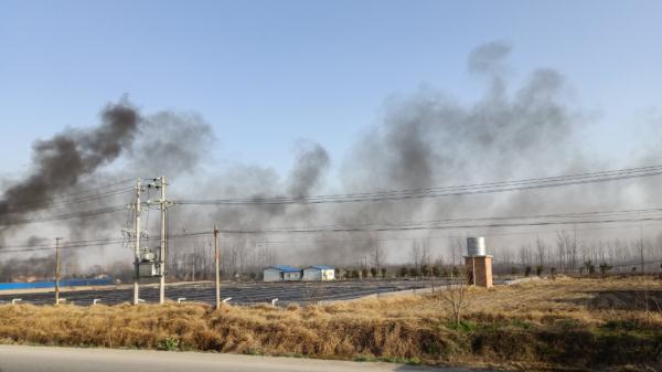 焚草开荒连毁7车！上海老太央求路人报警后逃离现场...