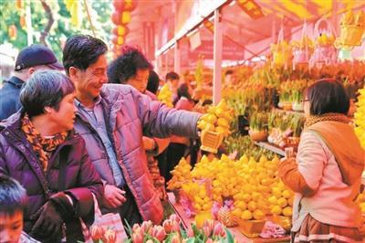 广州各区迎春花市时间地点公布