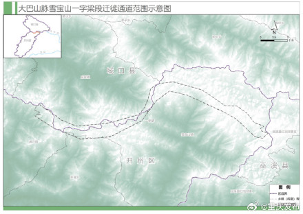 重庆为候鸟划定首批9条迁徙通道