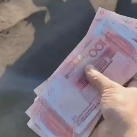 高速事故现场几十万元现金散落！一群人冲上去……