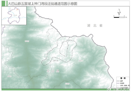 重庆为候鸟划定首批9条迁徙通道
