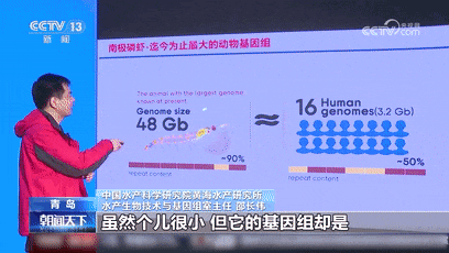 南极除了企鹅，还有哪些奇特的生物？