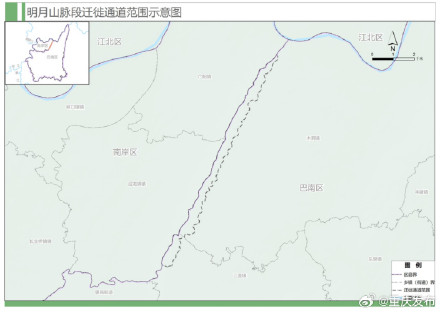 重庆为候鸟划定首批9条迁徙通道