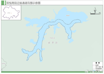 重庆为候鸟划定首批9条迁徙通道