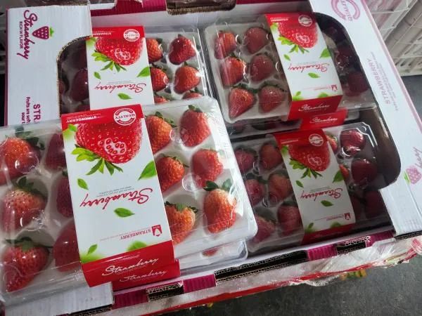 The price of cherries is "halved", will it continue to be reduced next?