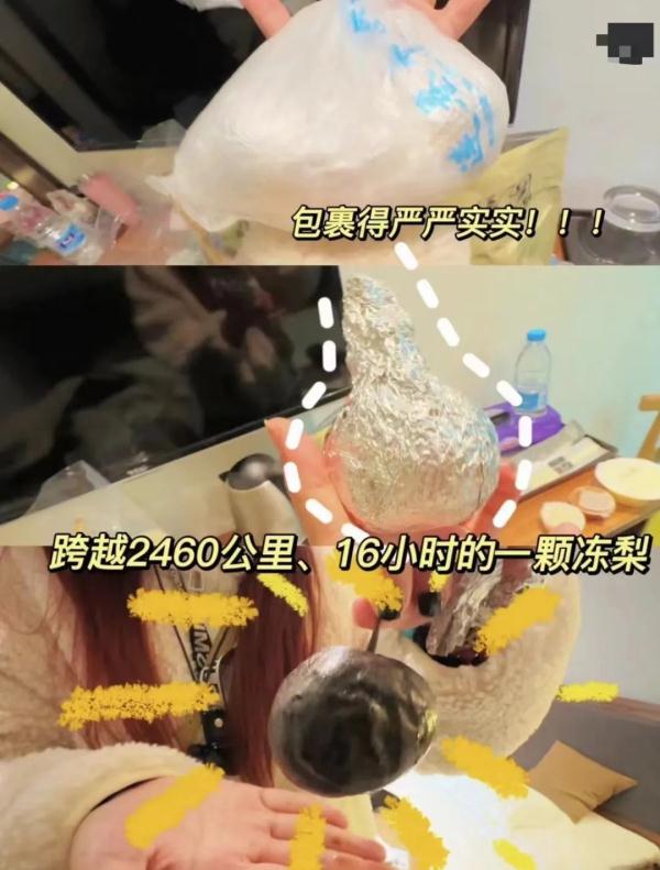 冻梨怎样才不会化……放假了,什么都想给爸爸妈妈带回家尝一尝! 冻梨怎样才不会化……放假了,什么都想给爸爸妈妈带回家尝一尝!