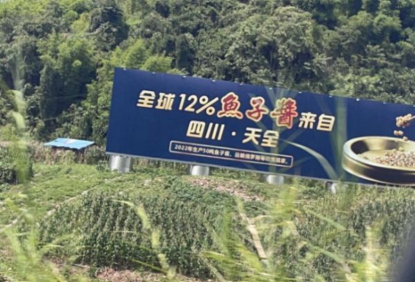 “尔滨”回礼蔓越莓后，全网破防：我咋不知道家乡有这些特产……