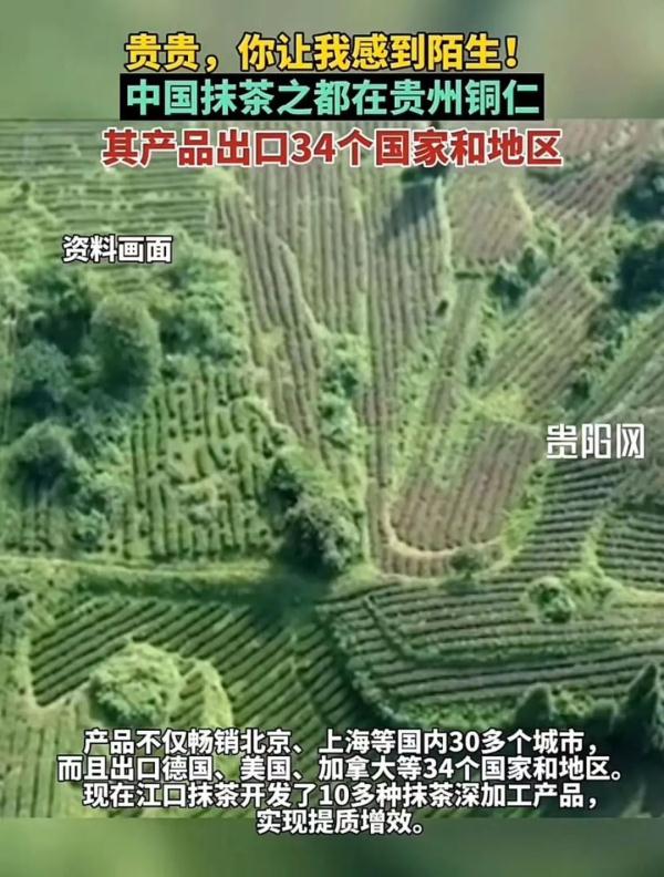 “尔滨”回礼蔓越莓后，全网破防：我咋不知道家乡有这些特产……