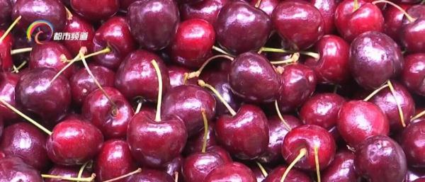 降价啦！车厘子自由要实现？注意！这类人群少吃……