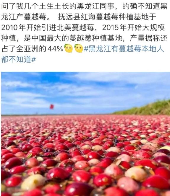 “尔滨”回礼蔓越莓后，全网破防：我咋不知道家乡有这些特产……