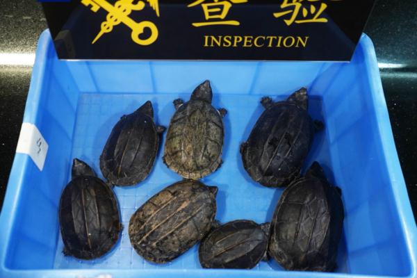 警惕！拱北海关查获+3