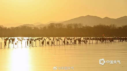 古典园林里畅享冰上乐趣 北京颐和园冰场人头攒动