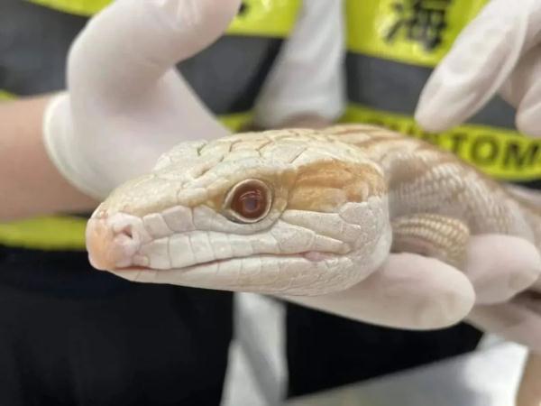 警惕！拱北海关查获+3