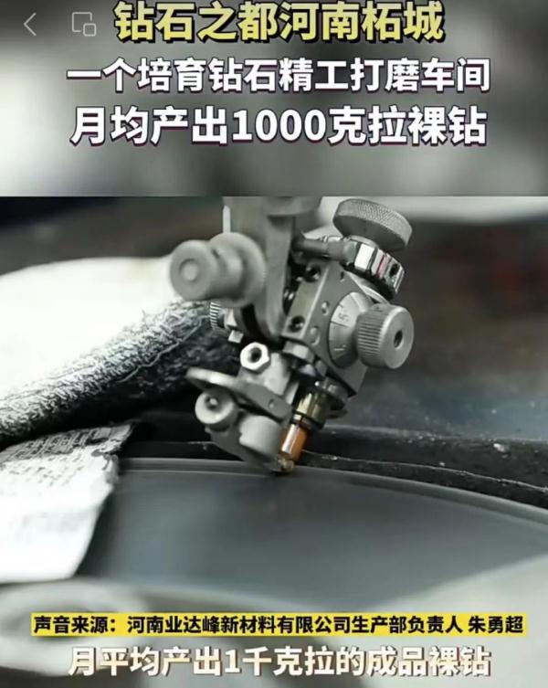 “尔滨”回礼蔓越莓后，全网破防：我咋不知道家乡有这些特产……