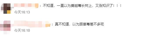 全年库存扫空!老板懵了:我以后卖啥?网友急问:啥味道 全年库存扫空!老板懵了:我以后卖啥?网友急问:啥味道