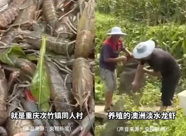 “尔滨”回礼蔓越莓后，全网破防：我咋不知道家乡有这些特产……