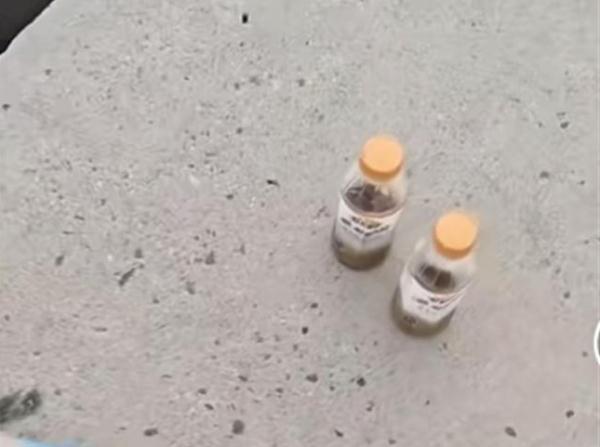 为了净化海水？女子投放不明液体，警方通报→