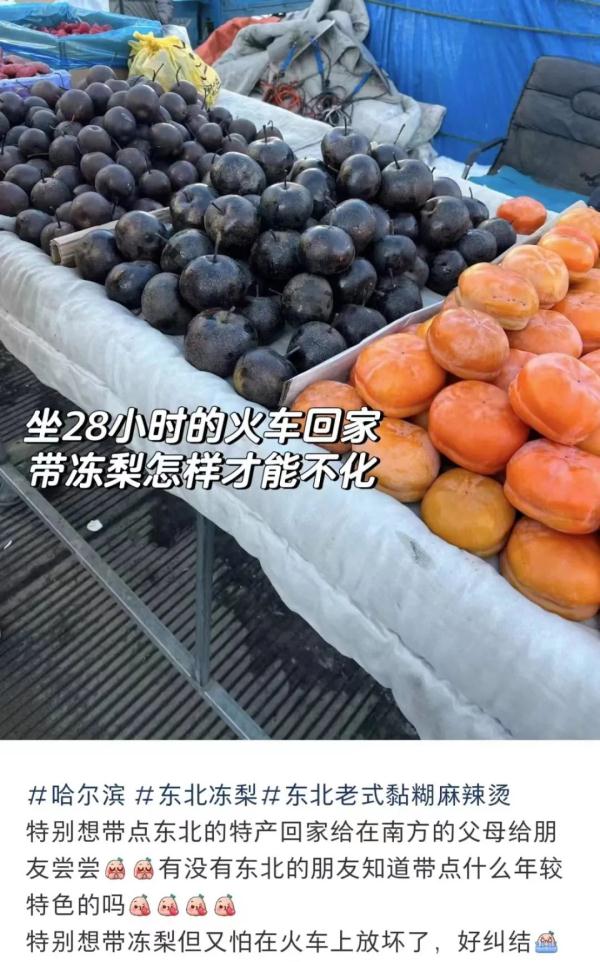 冻梨怎样才不会化……放假了,什么都想给爸爸妈妈带回家尝一尝! 冻梨怎样才不会化……放假了,什么都想给爸爸妈妈带回家尝一尝!