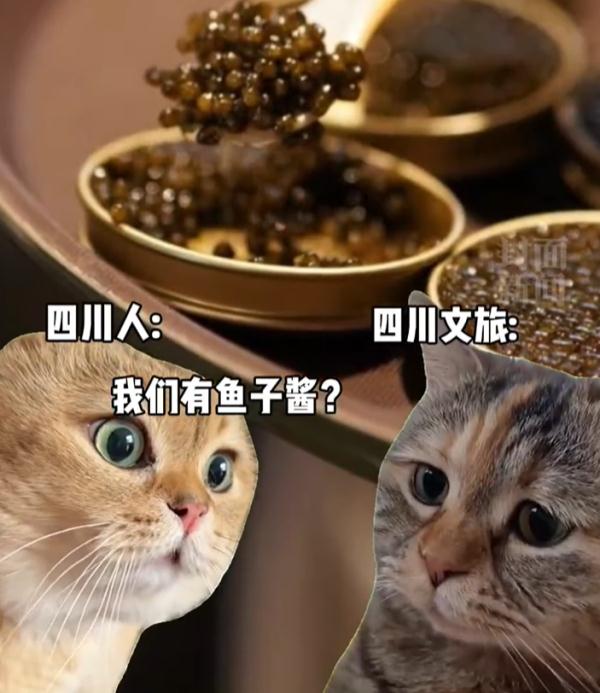 “尔滨”回礼蔓越莓后，全网破防：我咋不知道家乡有这些特产……