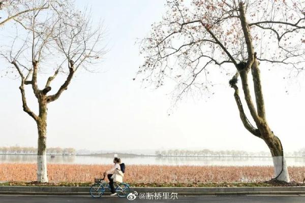 浙江将出现罕见大降温！明晨最低-3℃，接下来，再飙到21℃…