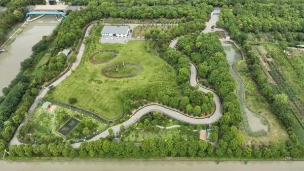 你会从手机APP领养一只流浪猫吗？